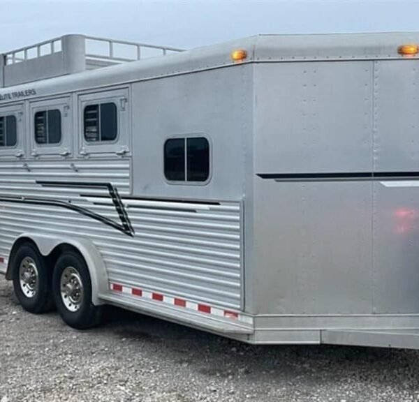 1999 Elite Custom 3 Horse Trailer