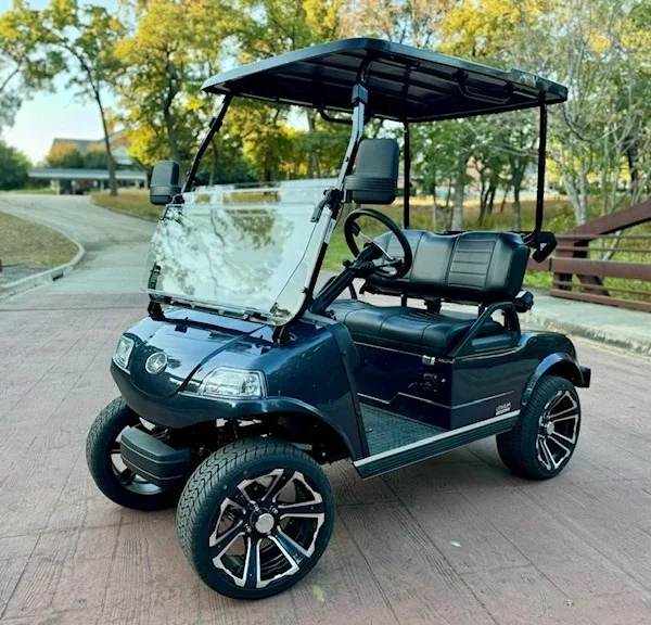 2025 Evolution Classic 2 Plus 2 Passenger Lithium-Ion Golf Carts for Sale (Artic Gray)